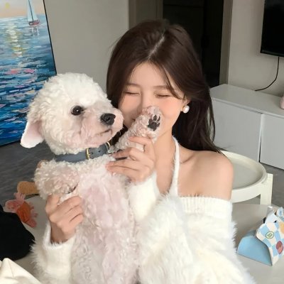 你死你事海报